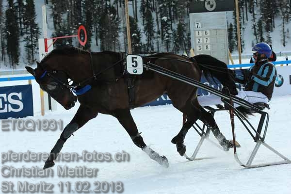ET0Q1931 prot